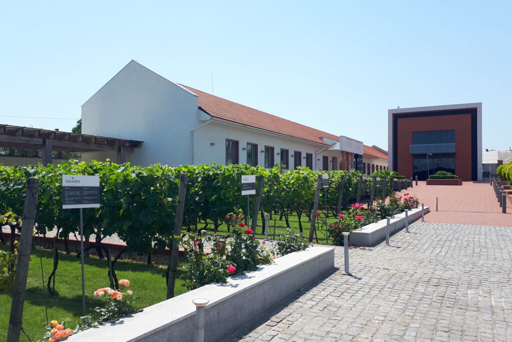 «Центр культуры вина» в Шабо