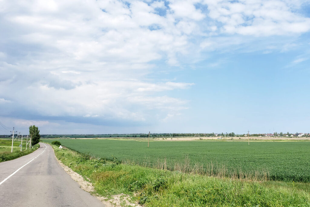 Дорога возле Грибовки и панорама села